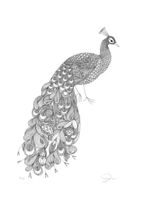 Image 1 of Flowery Peacock