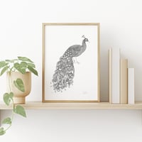 Image 2 of Flowery Peacock