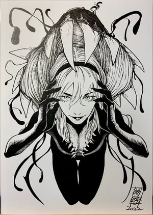 Image of  Pre-Order: Taigami  // 2025  ** Limited slots **