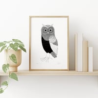 Image 2 of Horned Owl