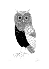 Image 1 of Horned Owl