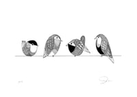 Image 1 of Bird Family