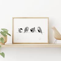 Image 2 of Bird Family
