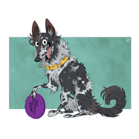 Image 1 of Teljes alakos kisállatportré | Fullbody pet portrait 