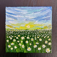 Image 1 of Daisy Daydream