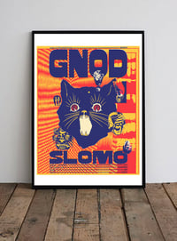 GNOD 9/24
