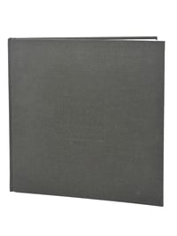 Image 1 of Through A Glass Darkly | Stephen M. Schaub