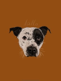 Image 2 of Commission Custom Portrait