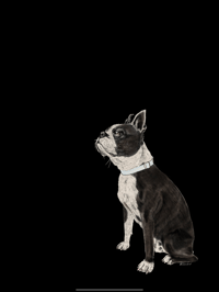 Image 4 of Commission Custom Portrait