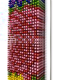 Image 16 of "2550-FLORAL Diptych" (Horizontal) by Matt Bilfield