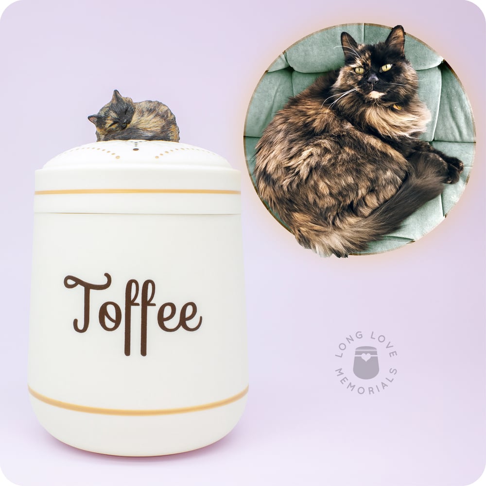 Image of Tortoiseshell Cat Urn, Custom Urn for Your Tortie Cat