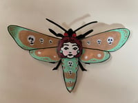 Image 1 of LADYBugs Lil Moths