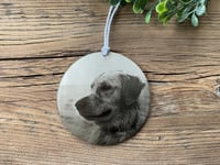 Image 4 of Pet Portrait Custom Christmas Ornament • Stainless Steel Ornament • Pet Memorial Ornament