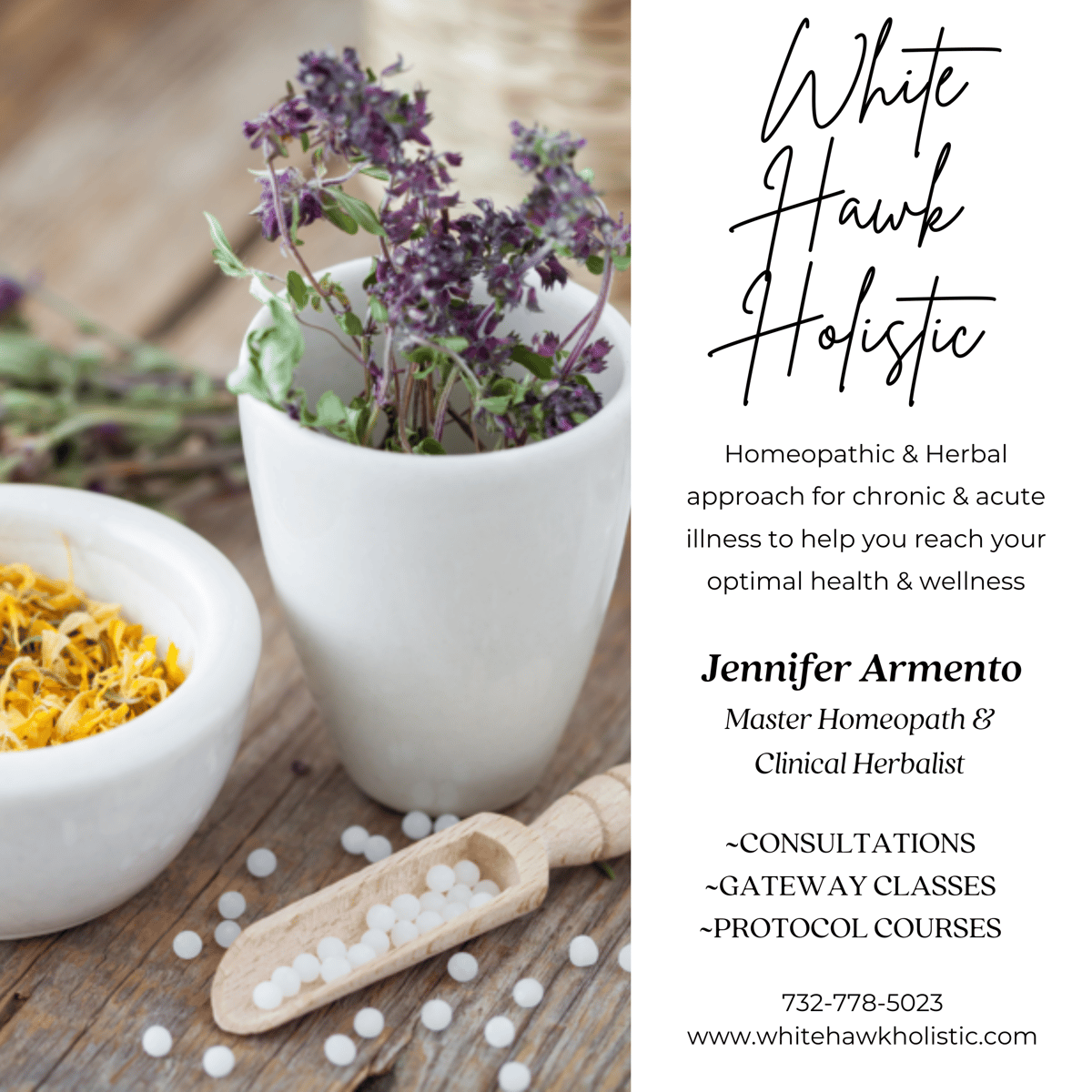 Image of Homeopathic Class Membership ~ Antibiotic Alternative