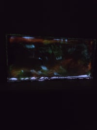 Image 4 of Square maple leaf 1tray