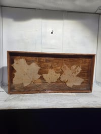 Image 1 of Square maple leaf 1tray
