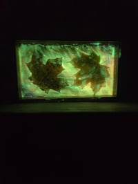 Image 1 of Square maple leaf 2 tray 