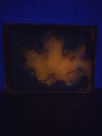 Image 1 of Square maple leaf 4 tray 