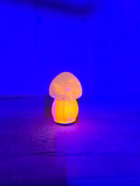Image 2 of Light up glow shroom 3