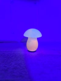 Image 2 of Light up glow shroom 2