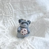 Image 4 of foodie raccoons