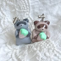 Image 3 of foodie raccoons