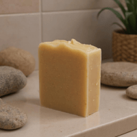 Image 2 of Aloe Vera