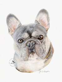 Image 1 of Frenchie - French Bulldog - Original Colored Pencil Dog Portrait