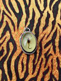 Image 2 of Sterlingsilber Kette mit hellem Skorpion