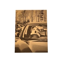 Image 4 of Dogs in Cars inkjet prints