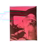 Image 3 of Dogs in Cars inkjet prints