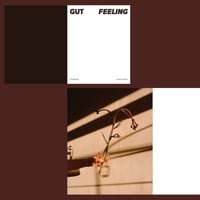 Image 2 of Gut Feeling by Darsh Seneviratne