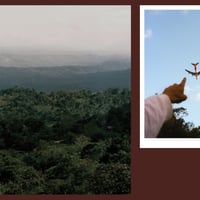 Image 4 of Gut Feeling by Darsh Seneviratne