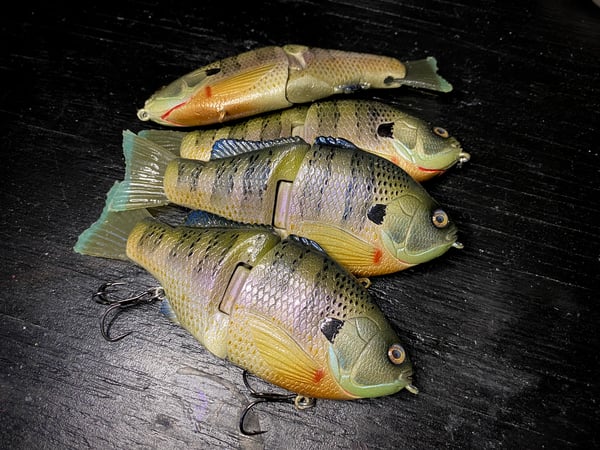 Image of 6” Ann Xslowsink (Hydrilla Gorilla II )