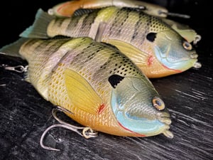 Image of 6” Ann Xslowsink (Hydrilla Gorilla II )