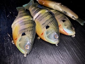 Image of 6” Ann Xslowsink (Hydrilla Gorilla II )