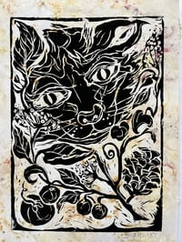 Image 2 of Wild cat 