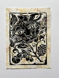 Image 1 of Wild cat 