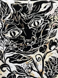 Image 3 of Wild cat 