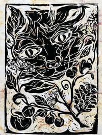 Image 4 of Wild cat 