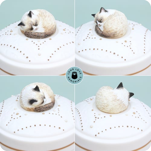 Image of Seal Point Ragdoll Cat Urn, Custom Urn for Your Cat