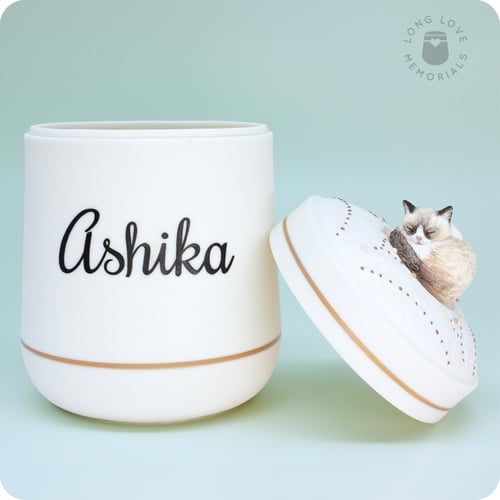 Image of Seal Point Ragdoll Cat Urn, Custom Urn for Your Cat