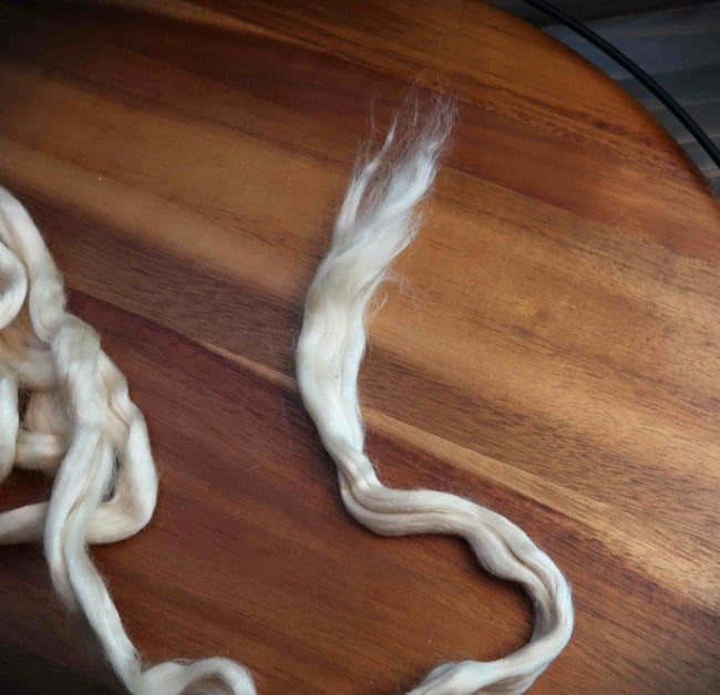 Seacell Blending Fibers