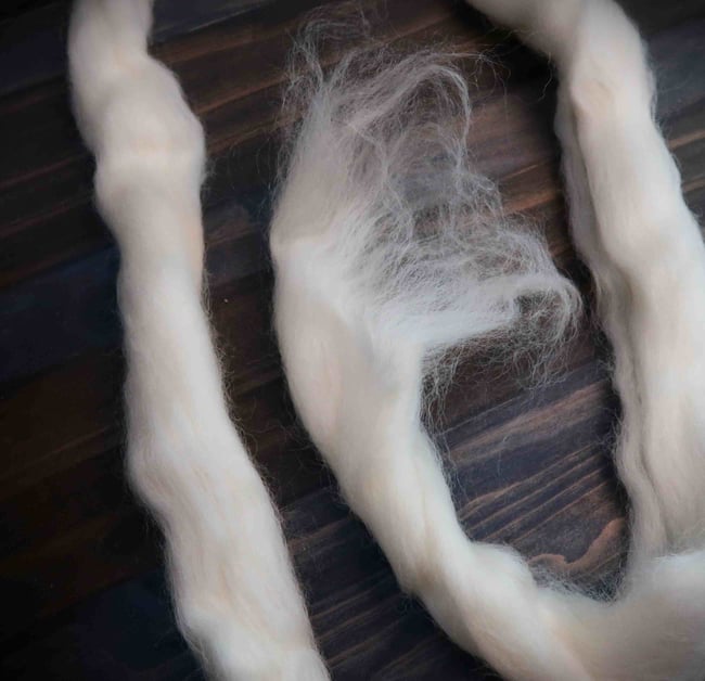 White Combed Top - Romney