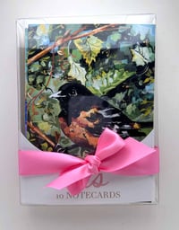 Image 1 of "All the cards!" 2025 notecard set