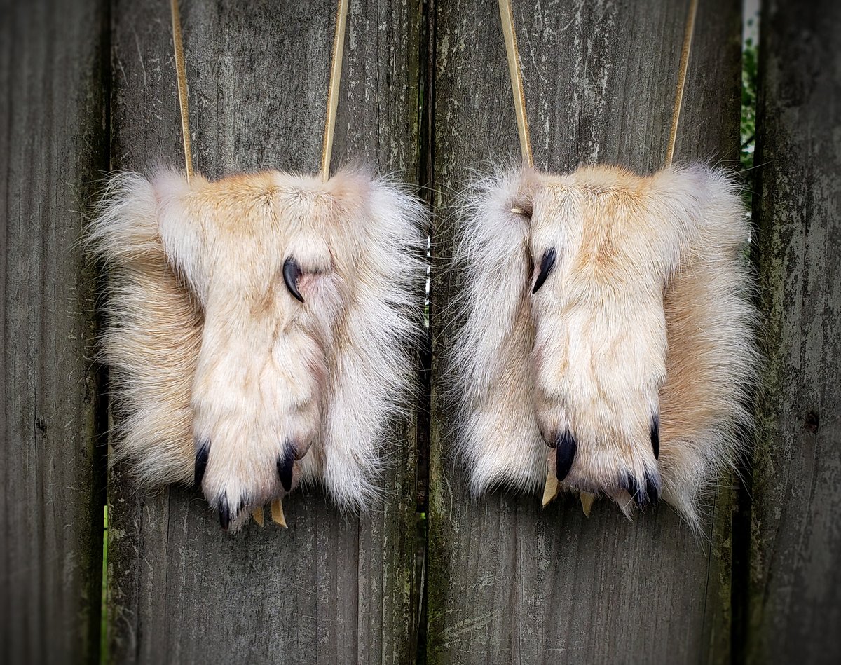 Image of Grey Wolf Paw Bag