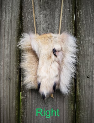 Image of Grey Wolf Paw Bag