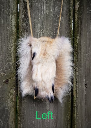 Image of Grey Wolf Paw Bag