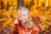 Image 2 of FALL MINIS HAMMEL WOODS 10/19