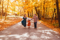 Image 3 of FALL MINIS HAMMEL WOODS 10/19